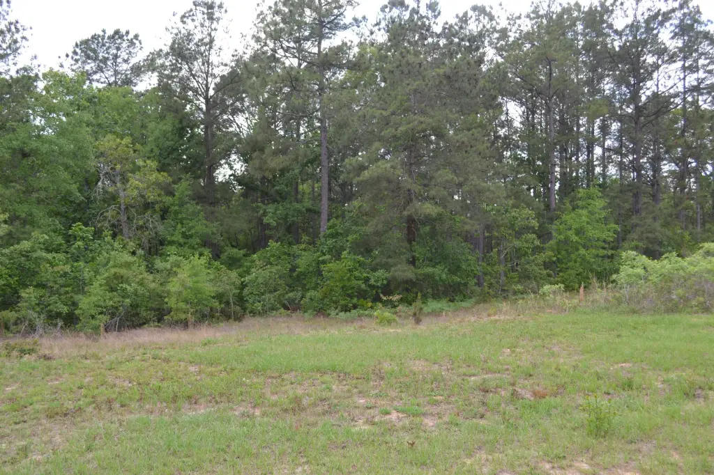 Picture 17