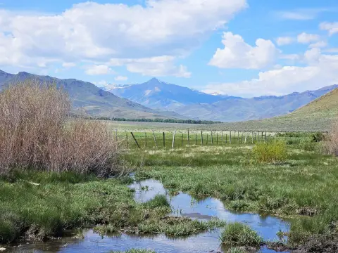 Remote Recreational Land Bordering BLM