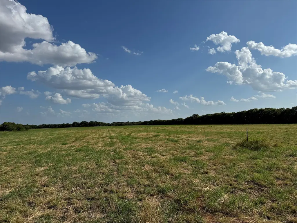 Picture 19