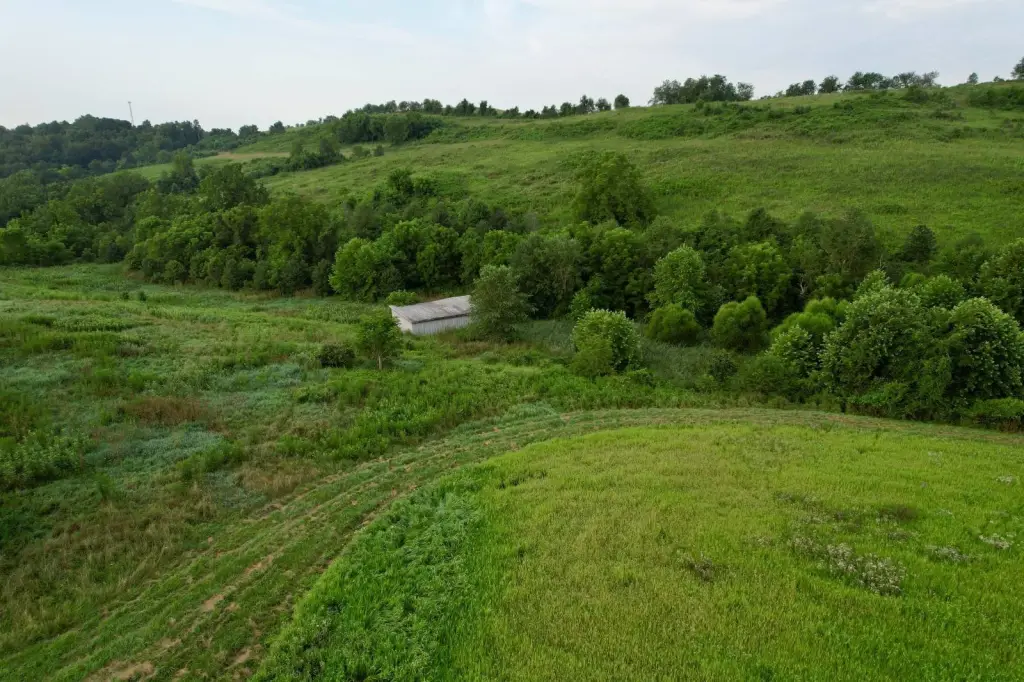 Picture 4