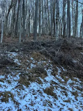 Land in Wolf Laurel Community