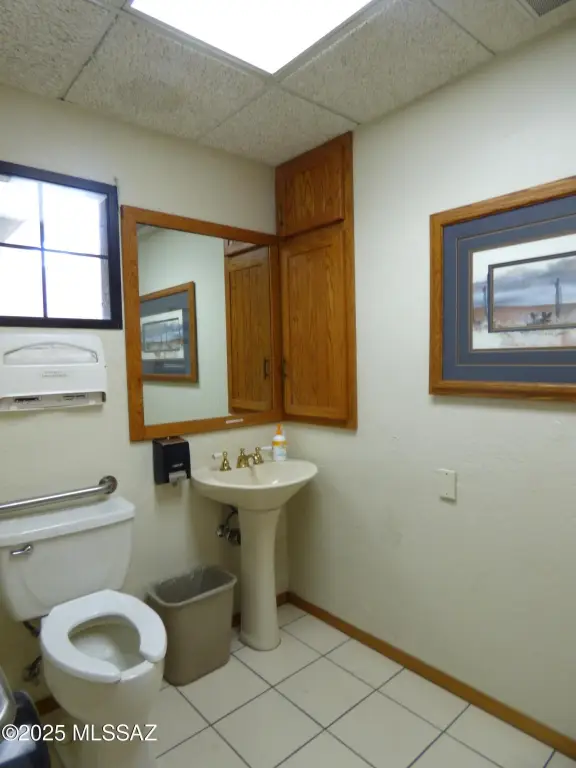 Picture 16