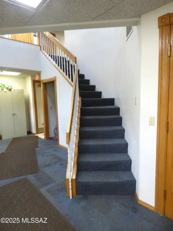Picture 17