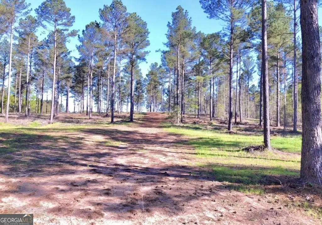 Picture 8