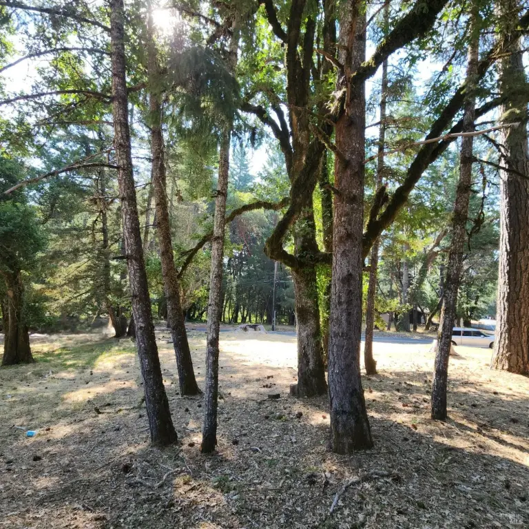 Picture 4