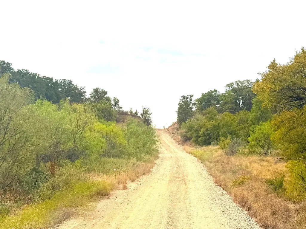 Picture 30
