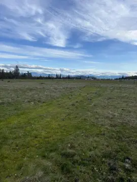 Eagle Point Acreage with Potential
