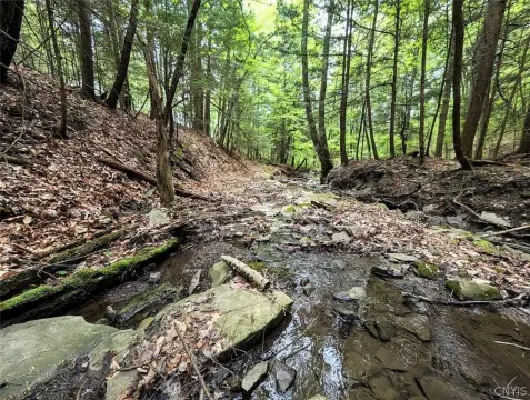 5 Acres of Recreational Land