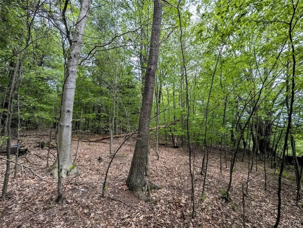 Picture 17