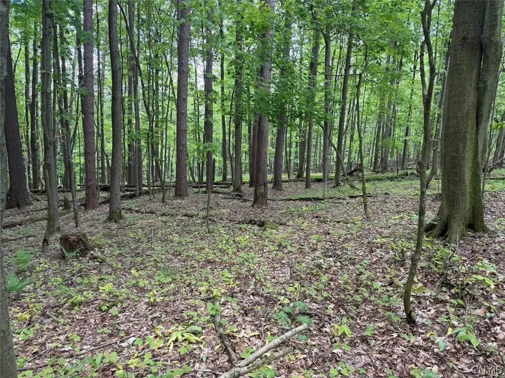 Picture 21
