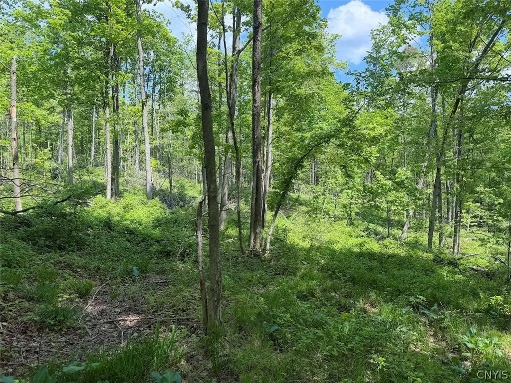Picture 17