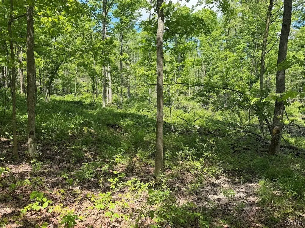 Picture 16