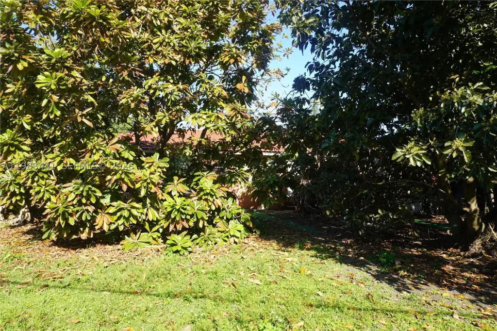 Picture 34