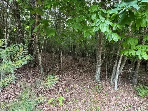 Residential Land in Wooded Setting