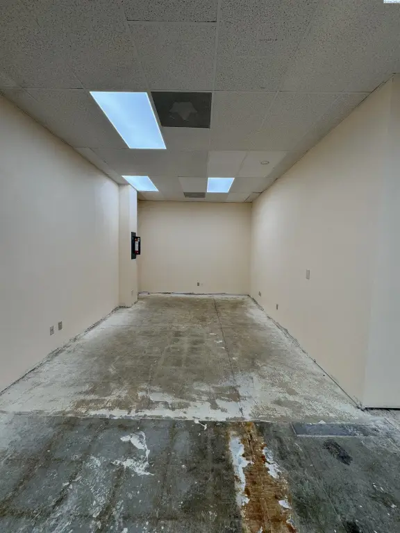 Picture 15