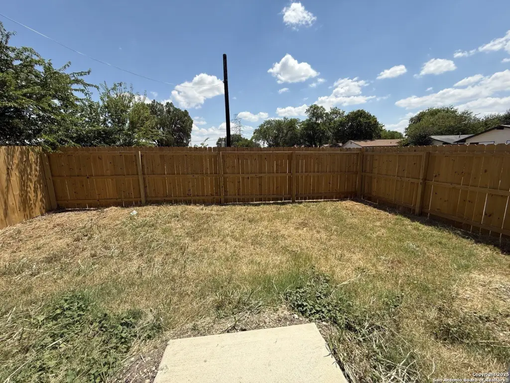 Picture 16