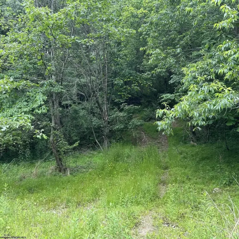 Picture 2