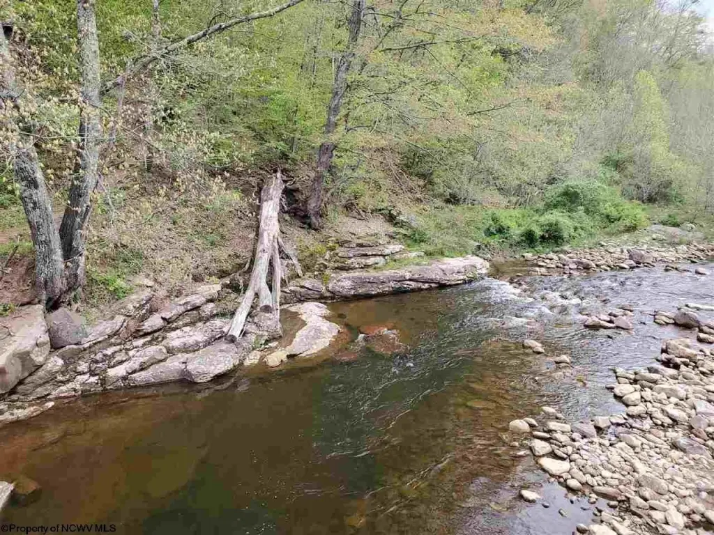 Picture 11