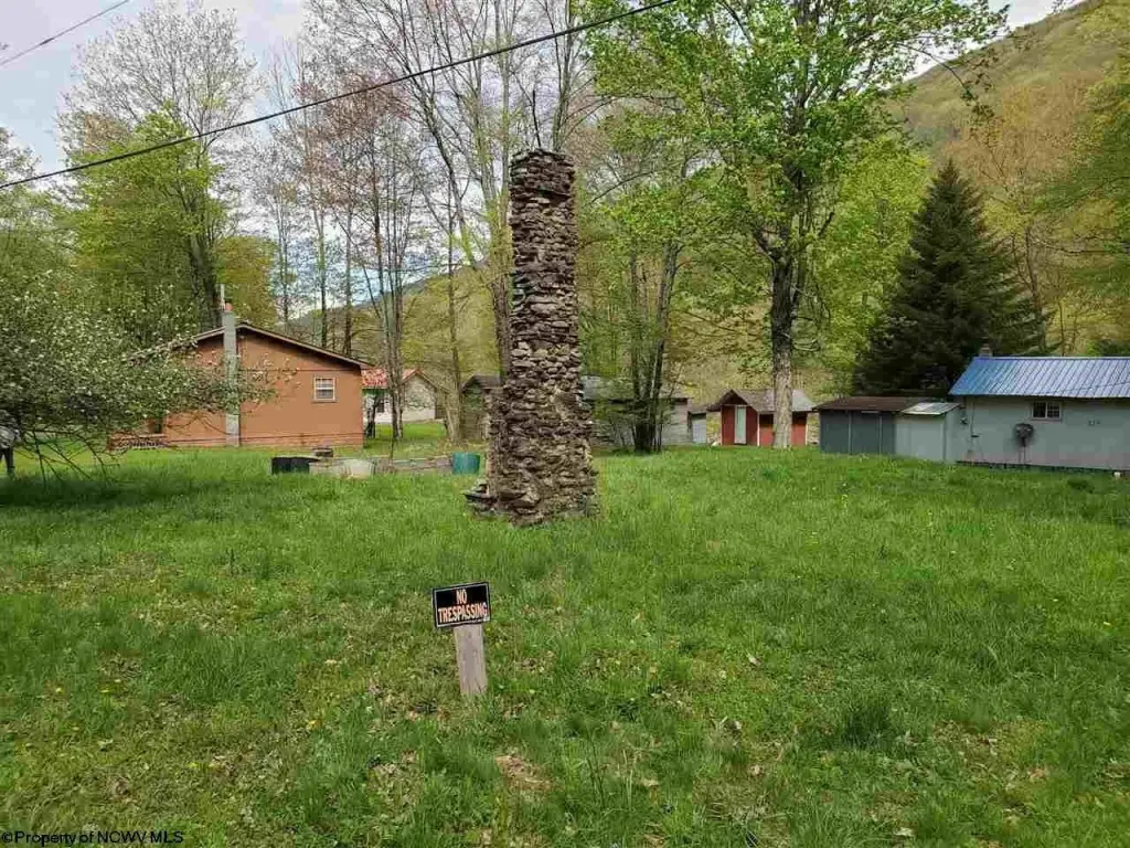 Picture 9