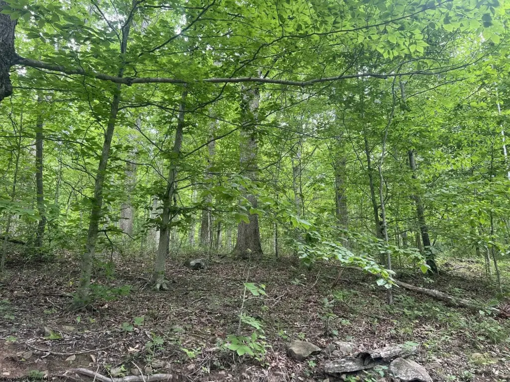 Picture 2