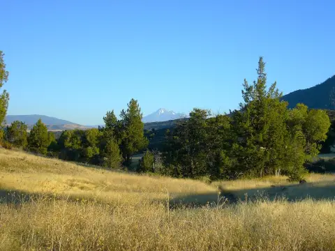 Hornbrook Acreage Near Oregon