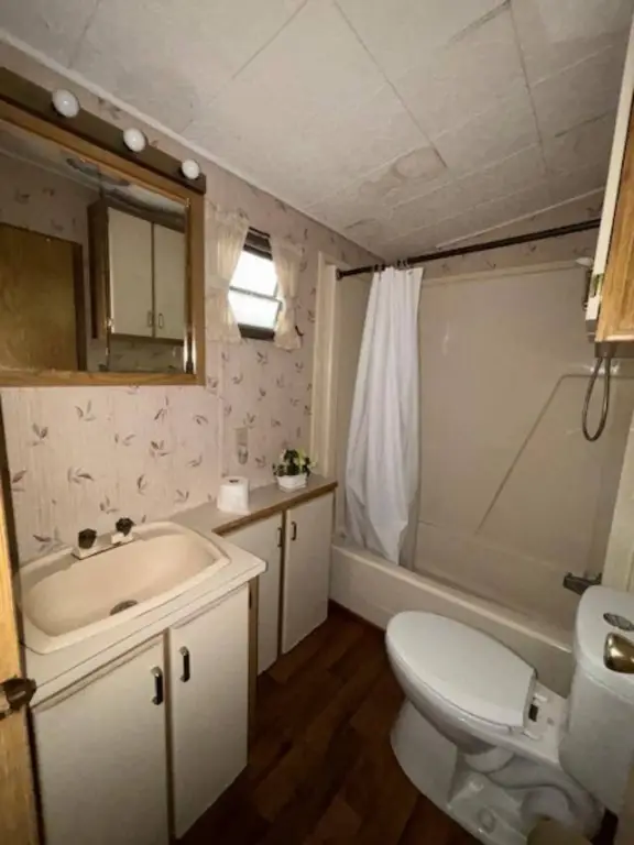 Picture 8