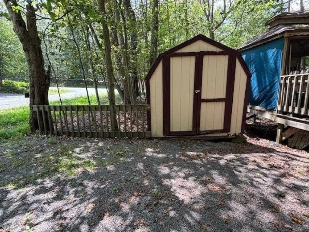 Picture 11