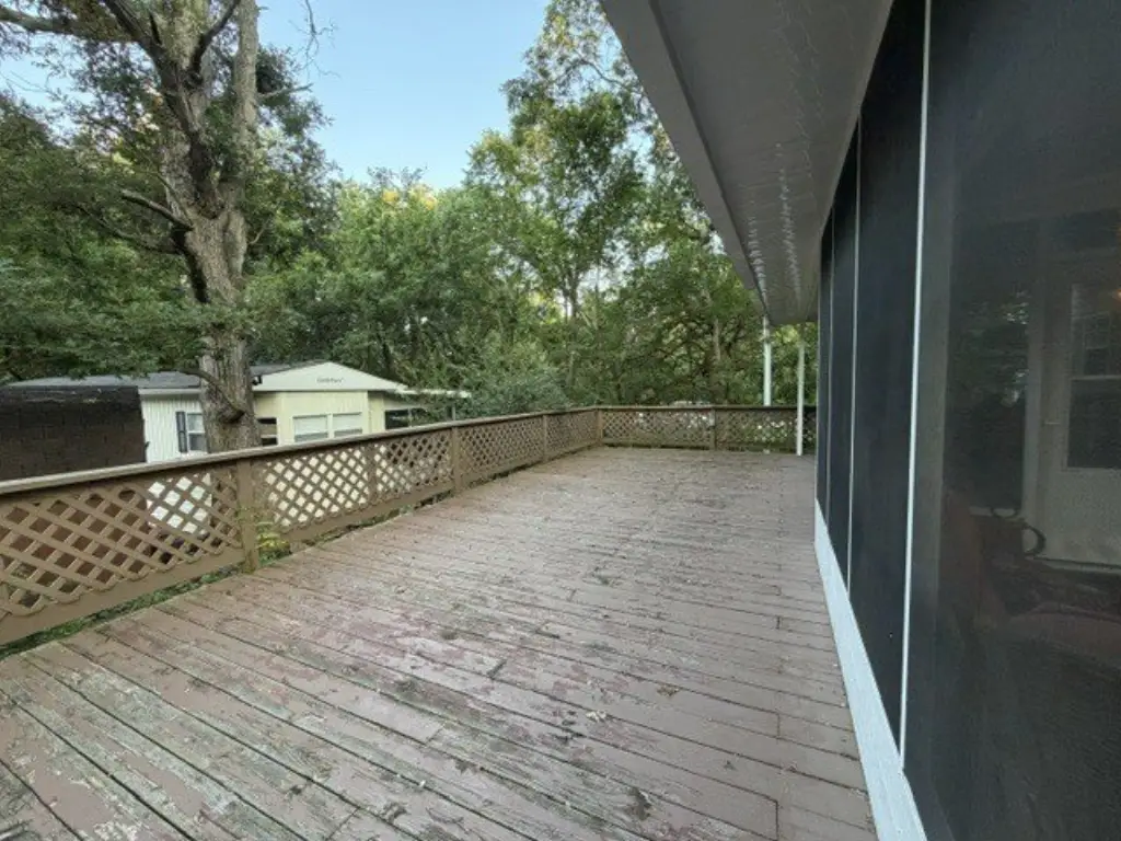Picture 29