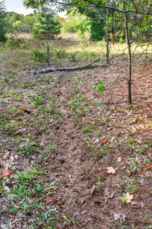 Picture 36