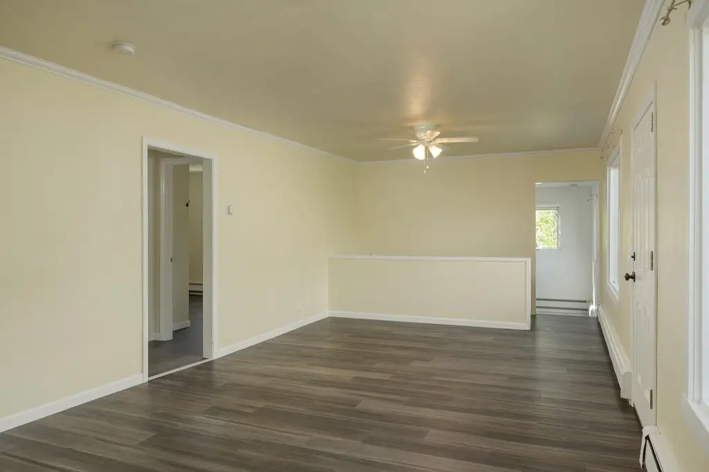 Picture 8