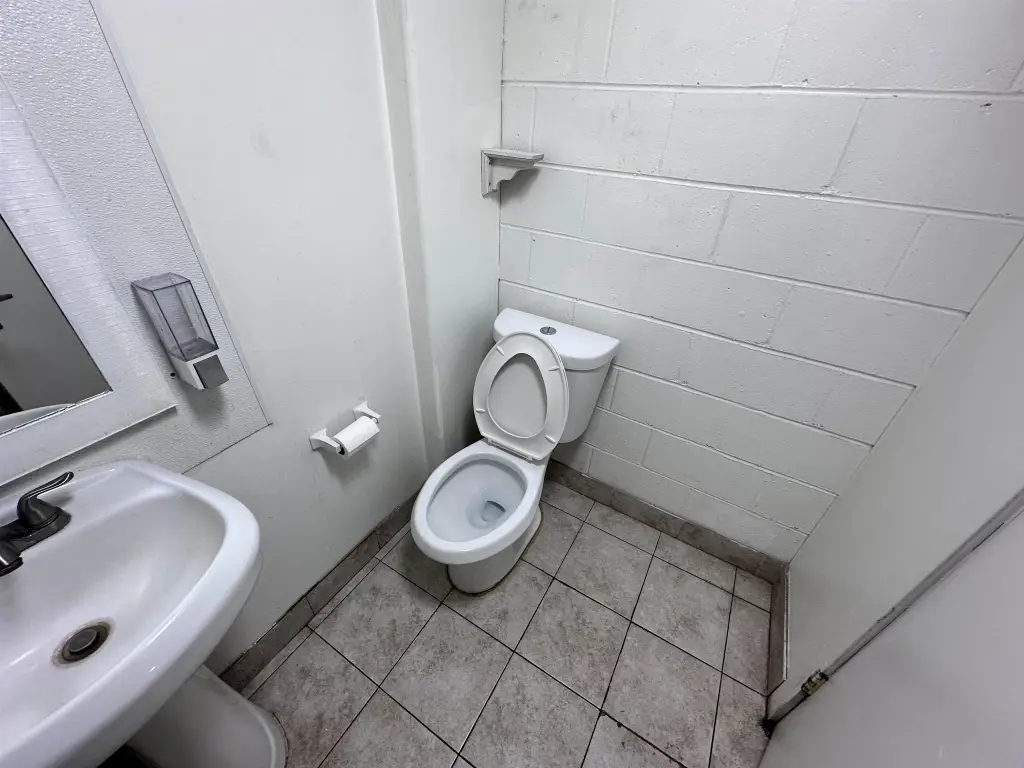 Picture 5
