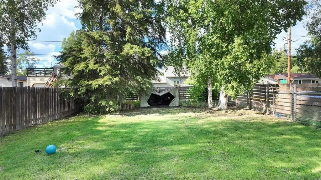 Picture 7