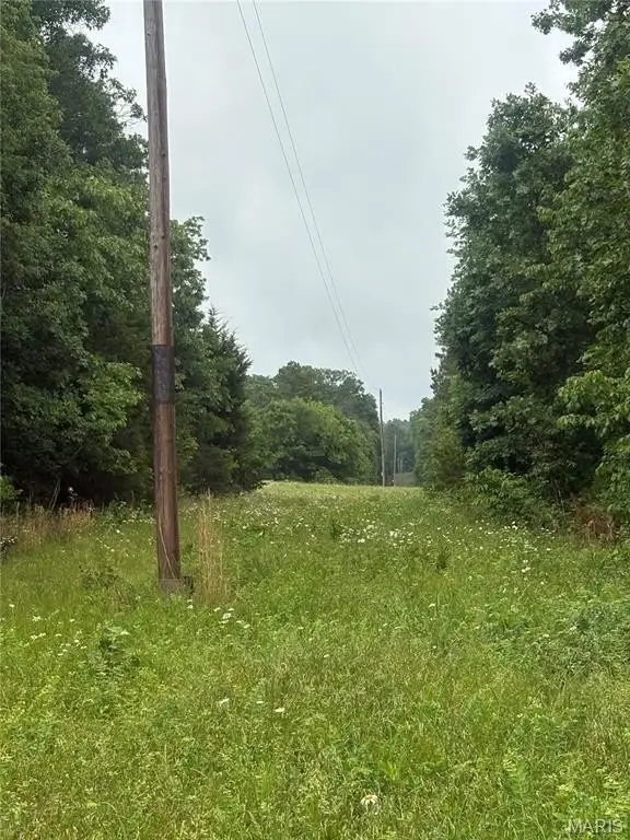 Picture 19