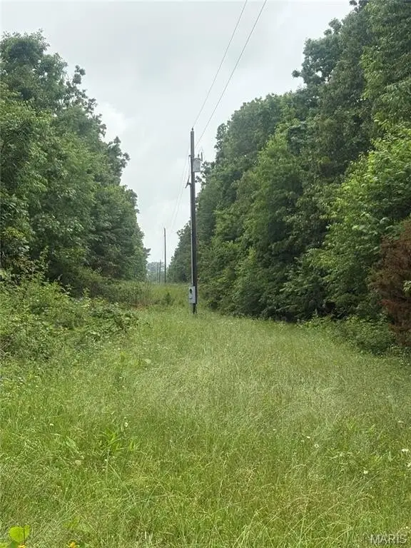 Picture 17