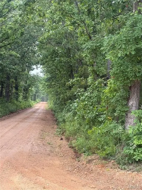 Picture 24