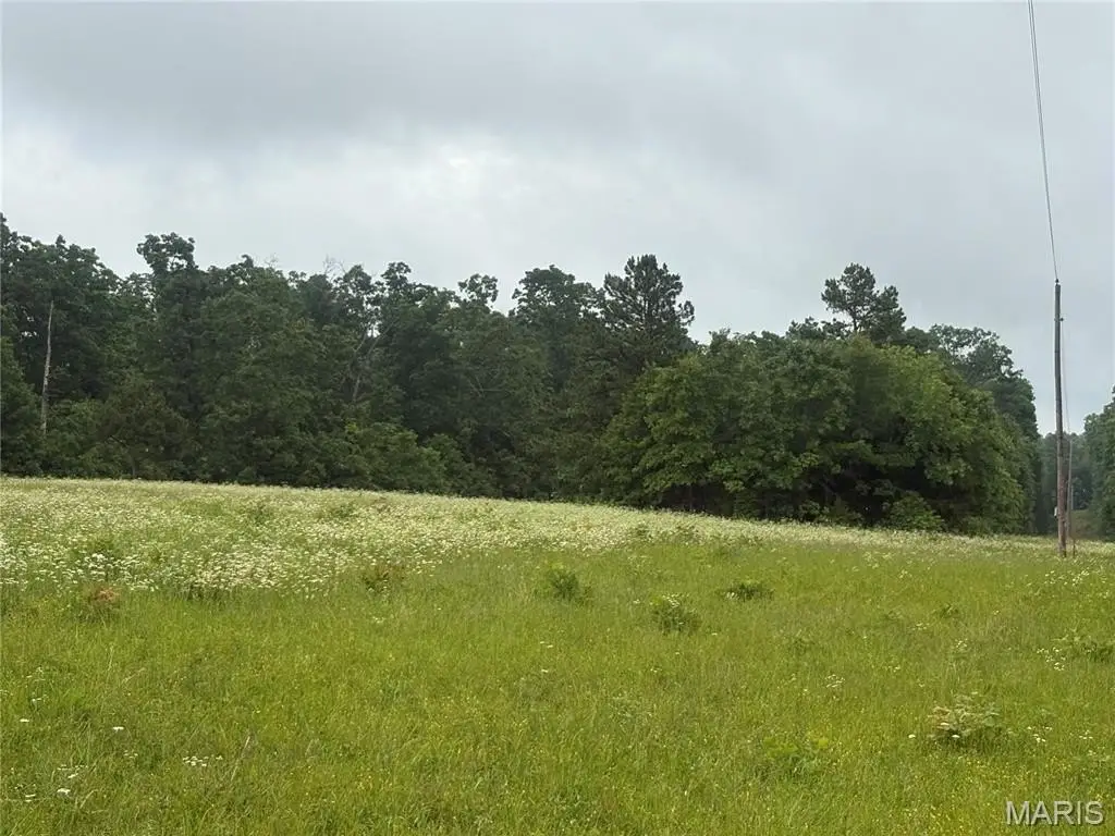 Picture 20