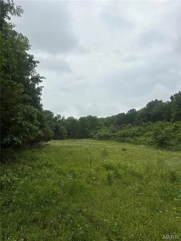 Picture 23
