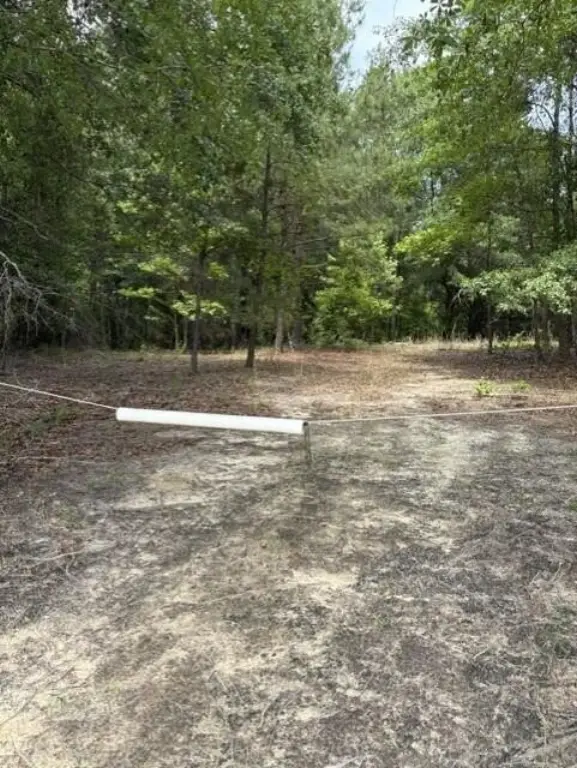 Picture 3