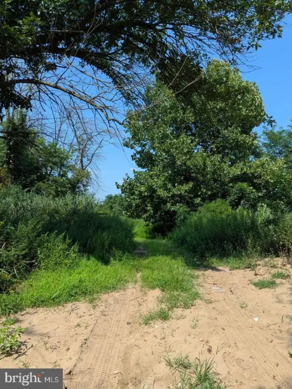 Picture 19