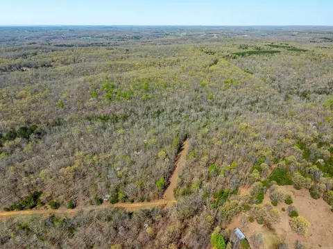 Secluded Hunting Land with Timber