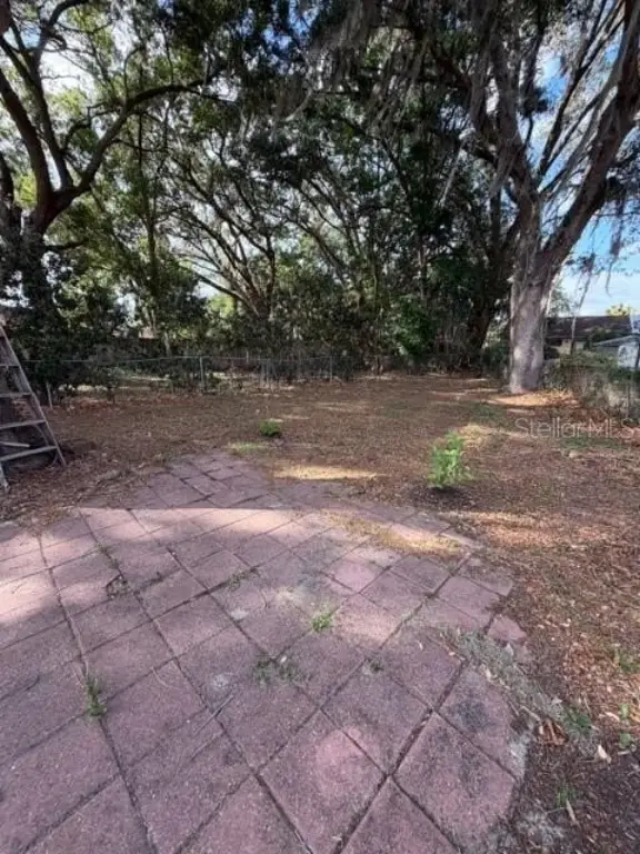 Picture 27
