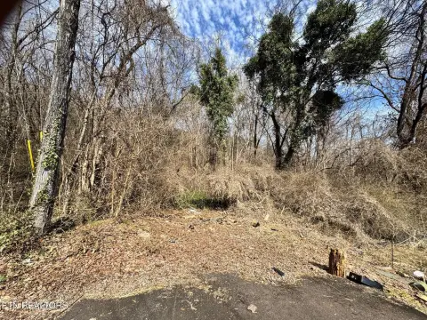 Knoxville Land For Sale