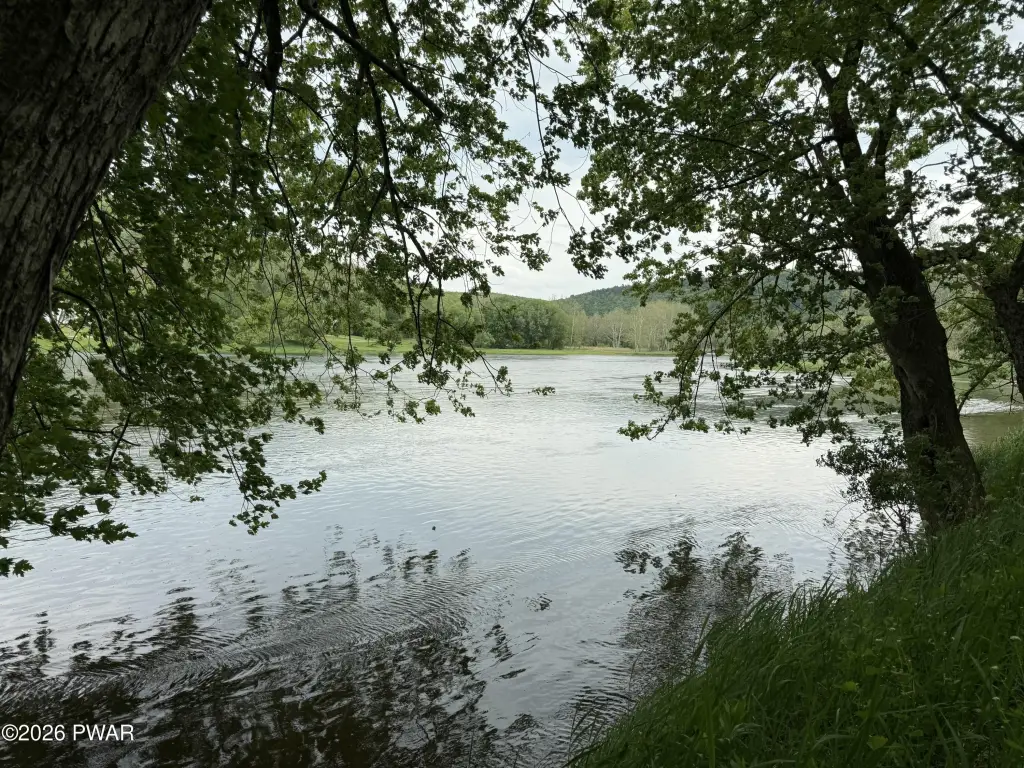 Picture 4