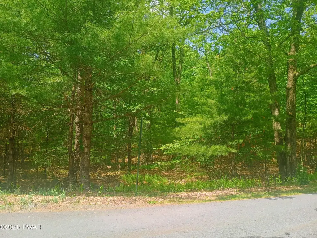 Picture 3