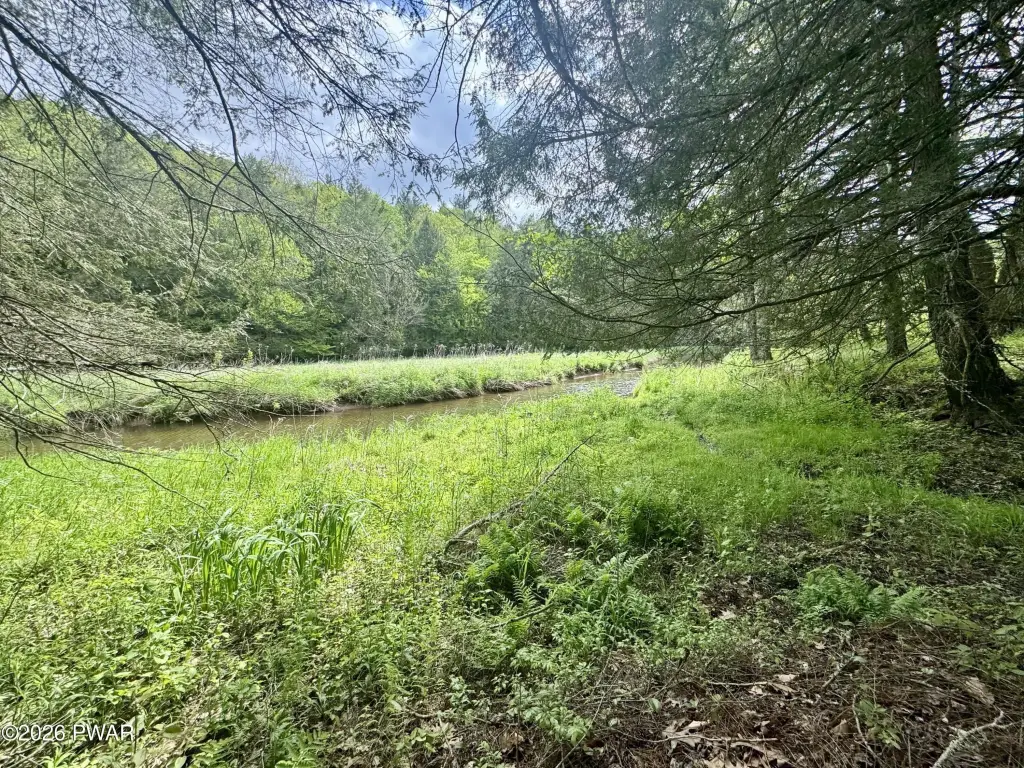 Picture 16