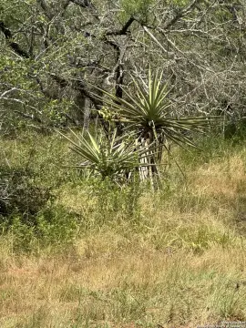 Stockdale, TX Land Tract