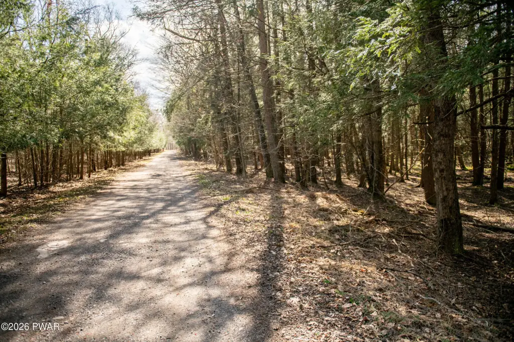 Picture 16