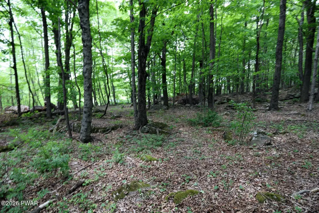 Picture 7