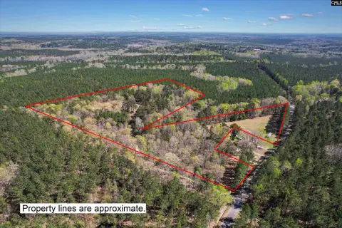 Secluded Wooded Land in Ridgeway