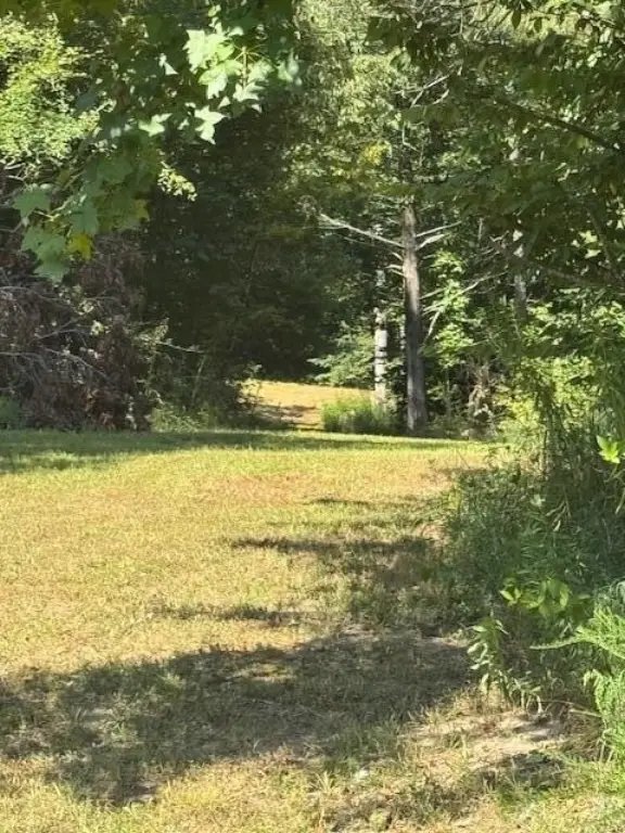 Picture 4